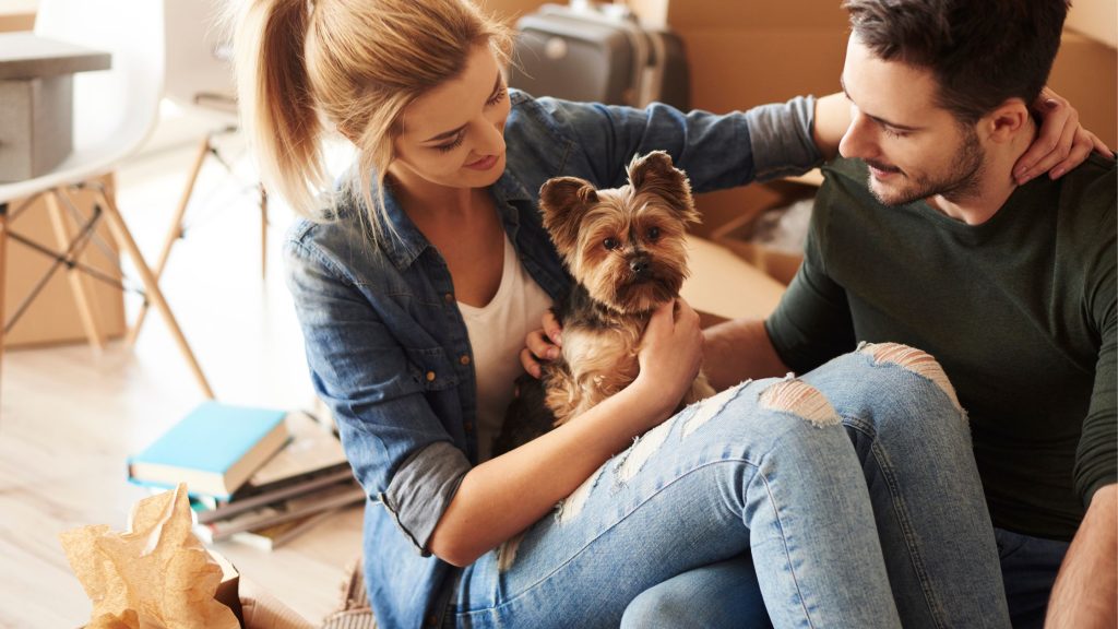 Os animais agora são tratados como filhos dos seus pais de pet. Mas como eles interagem na área comum de um empreendimento? Isso influencia em algo? 